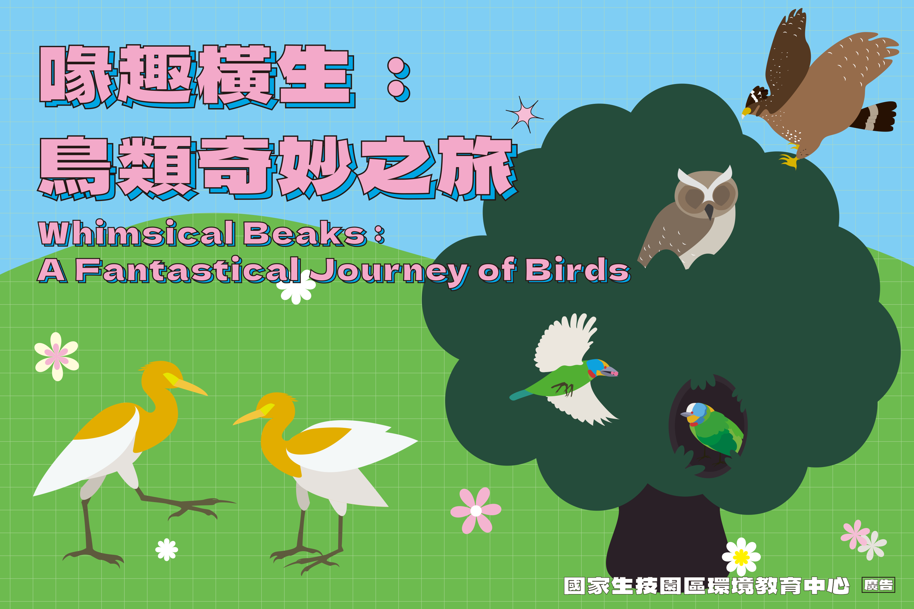 喙趣橫生：鳥類奇妙之旅